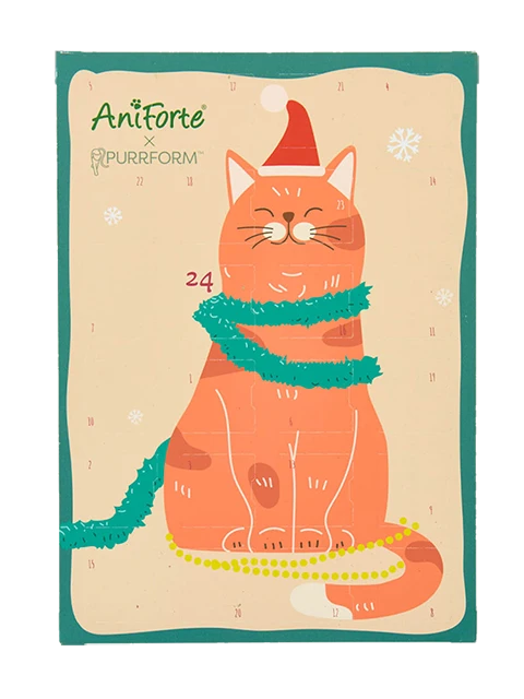 AniForte® Adventskalender Kat