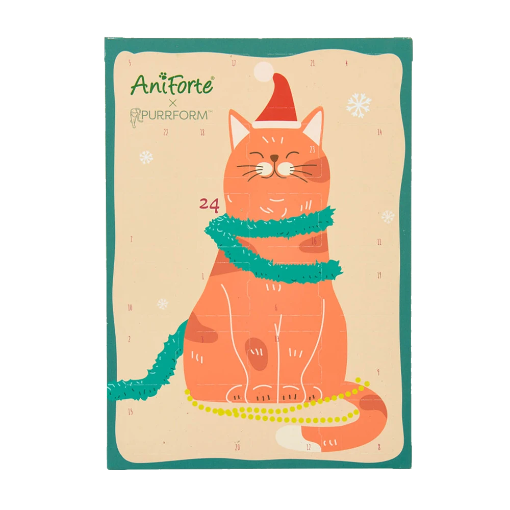 AniForte® Adventskalender Kat
