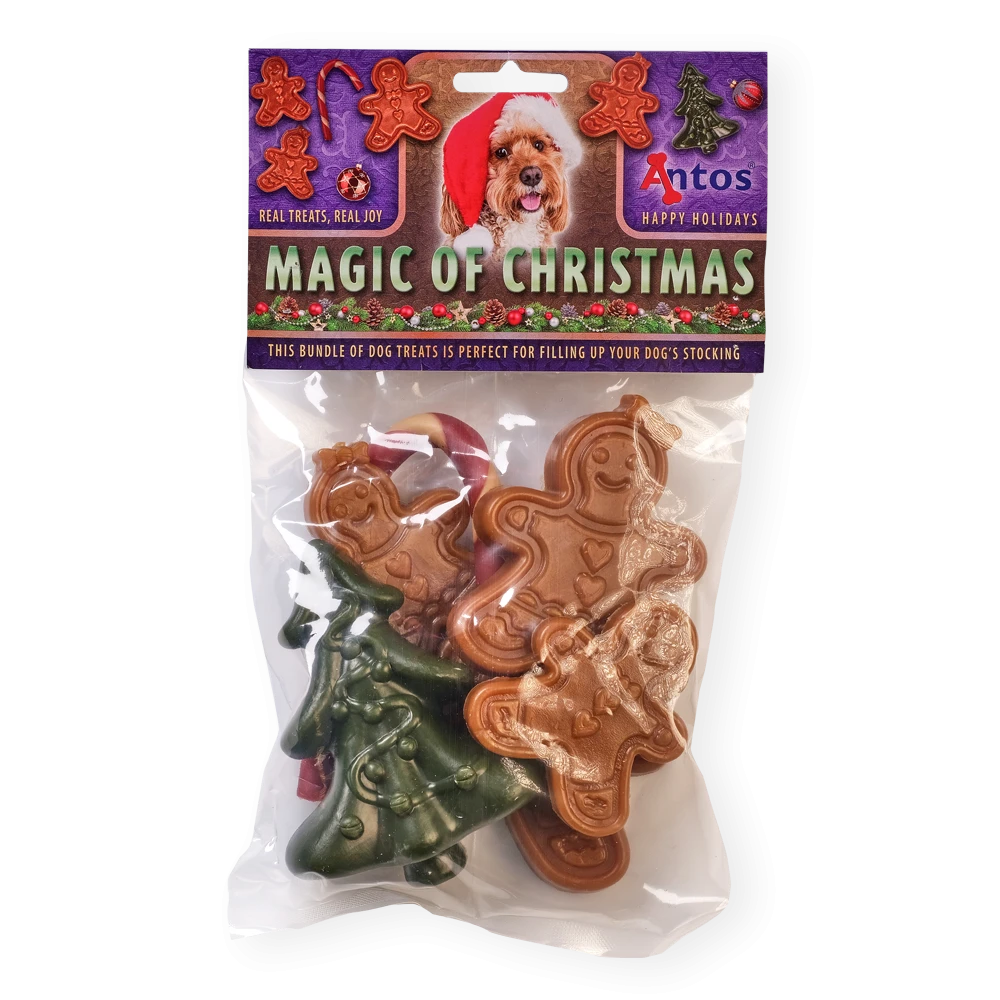 Magic of Christmas 6 stuks