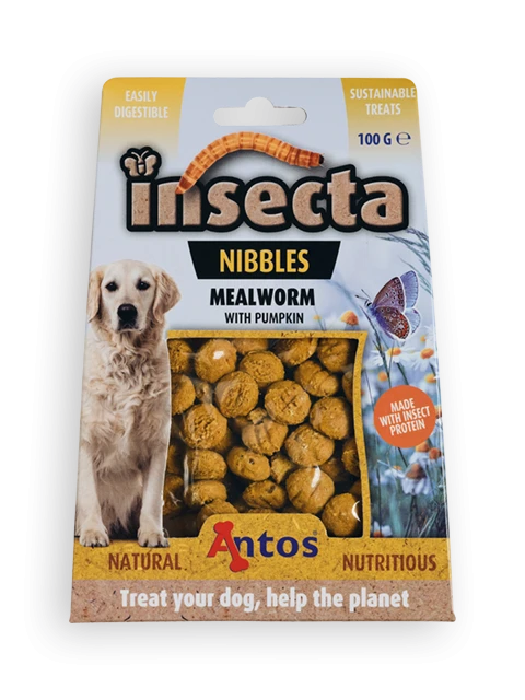 Insecta Nibbles Meelworm & Pompoen 100 gr