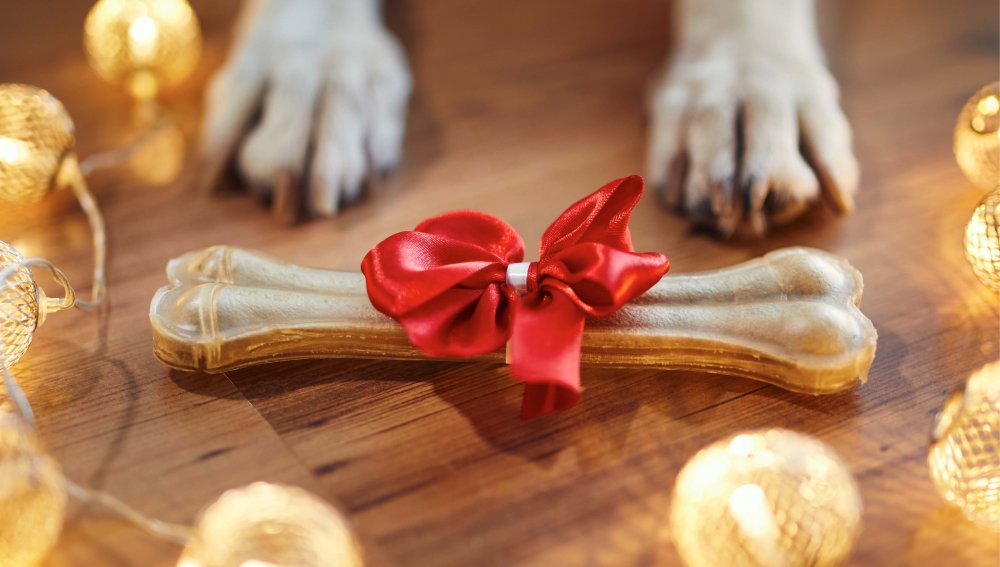 Grote hondenbotten - Wanneer kies je hiervoor?