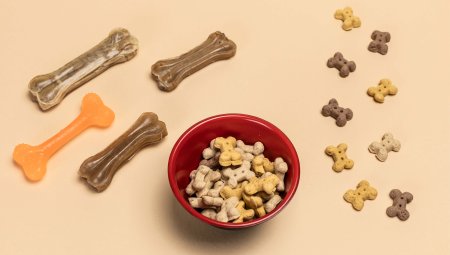 Vergelijking: natuurlijke hondenbotten vs. nylon kauwbotten