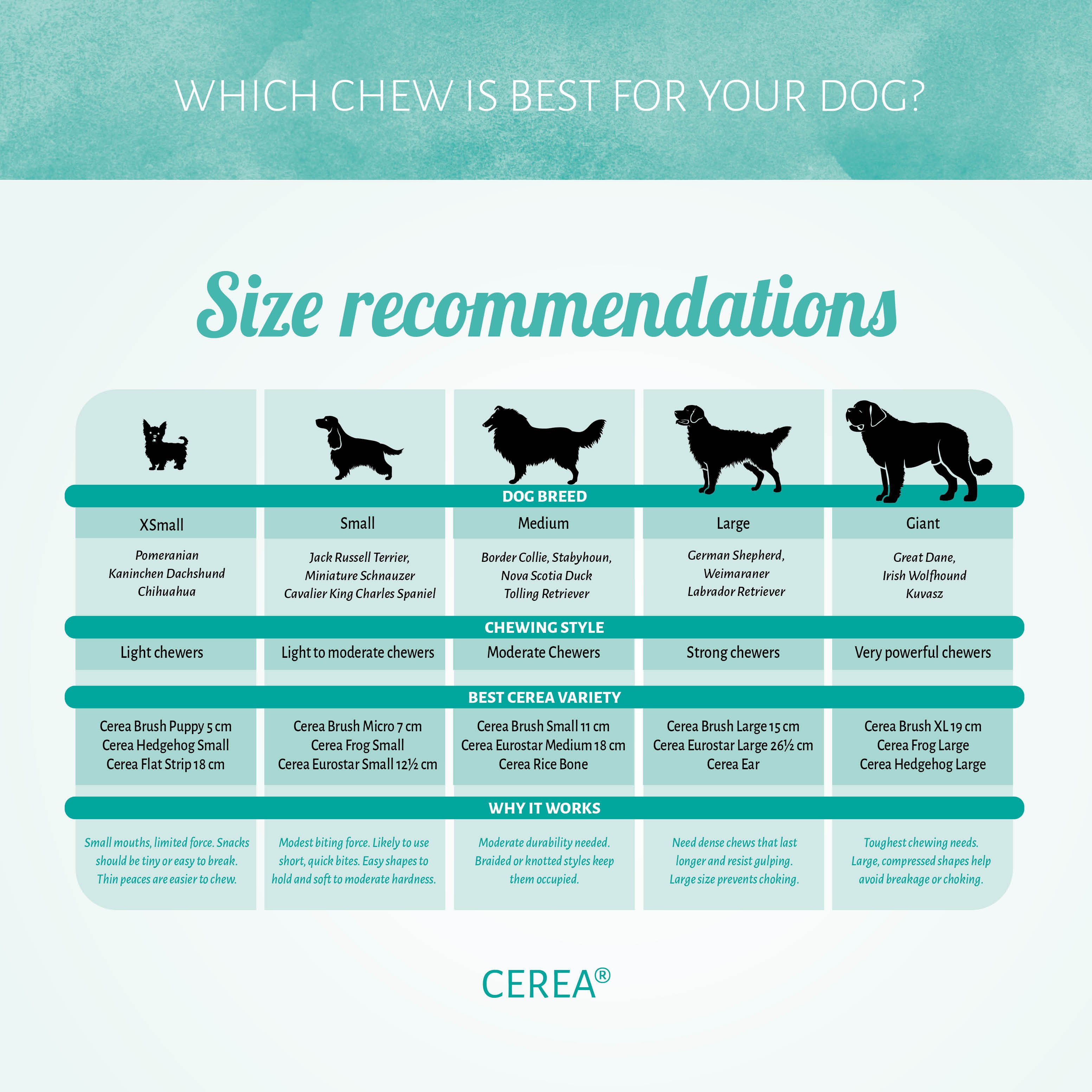 Cerea Brush Large 15 cm Assorti 