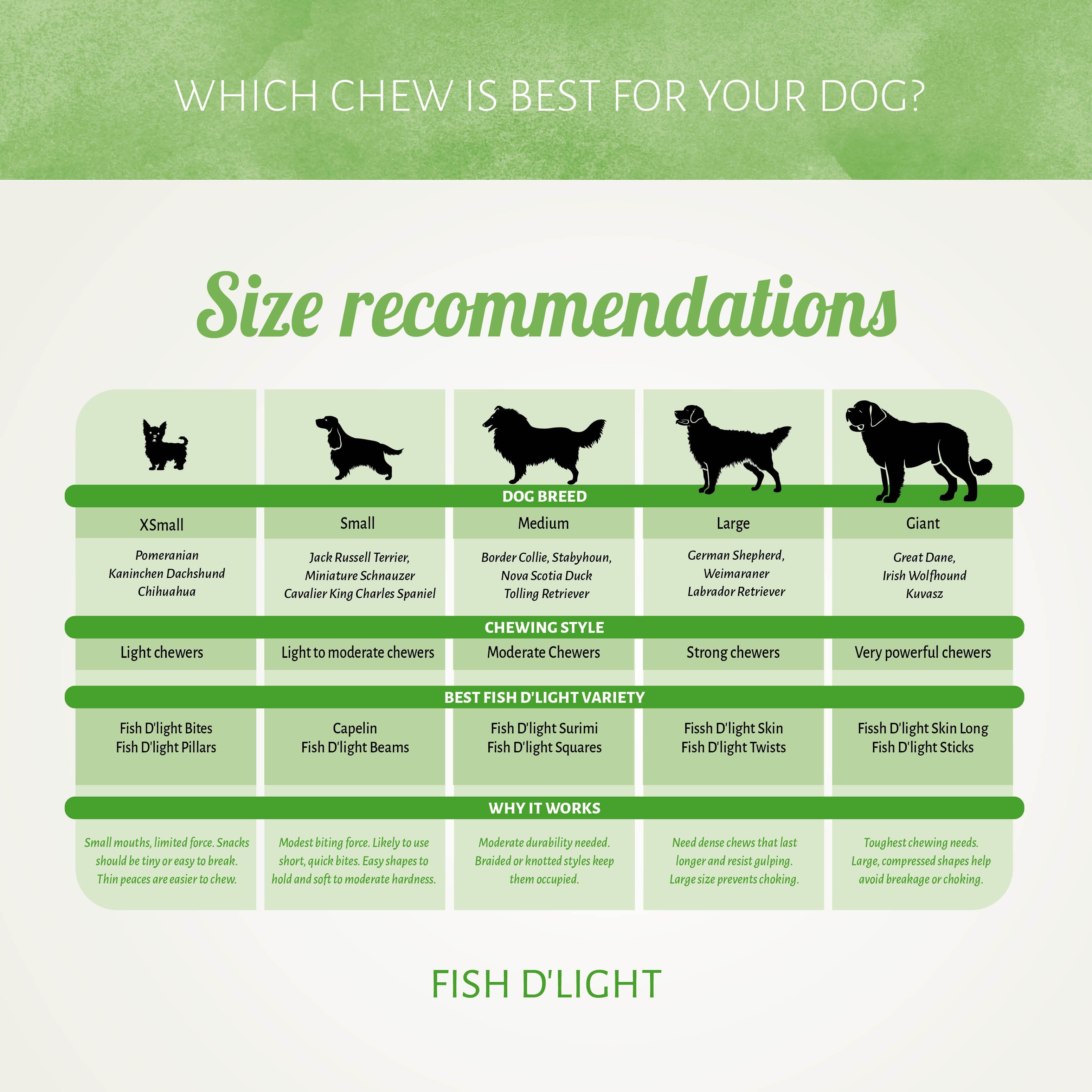 Fish D'light Beams 100 gr