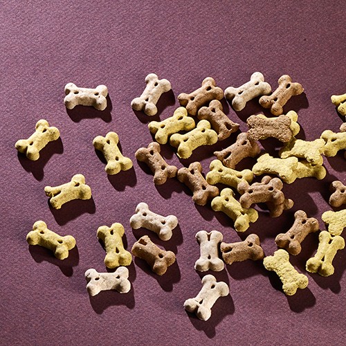 Trainingssnoepjes voor honden