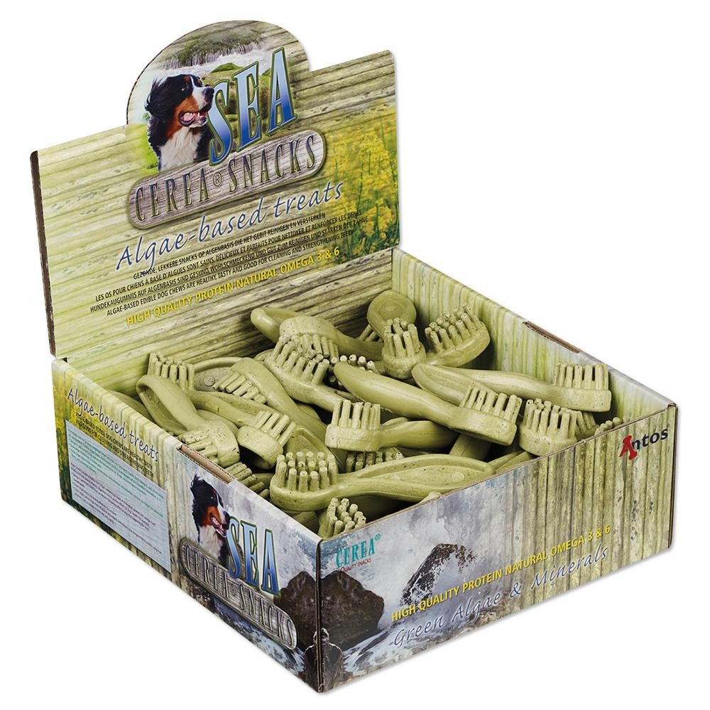 Cerea Sea Brush Algae Large 15 cm