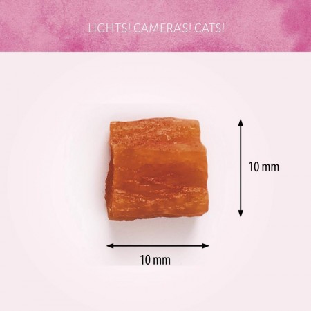 Cat Treats Cubed Zalm 50 gr