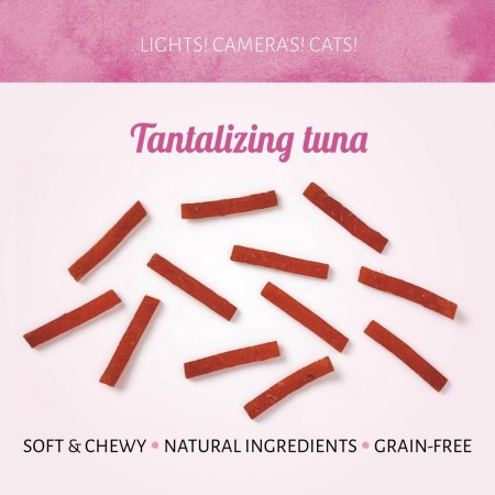 Cat Treats Tempting Tonijn 50 gr