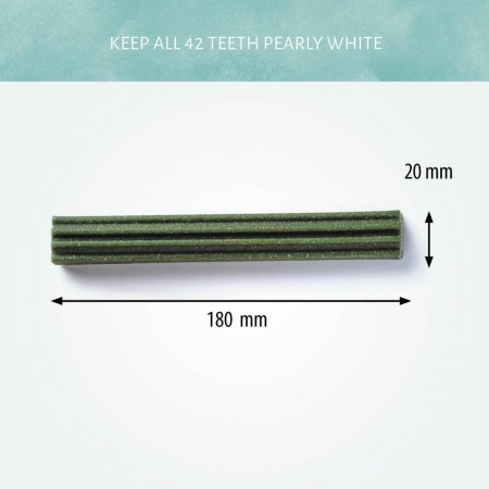 Cerea Eurostar Medium 18 cm Label