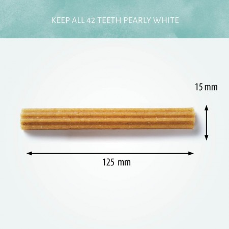 Cerea Eurostar Small 12½ cm