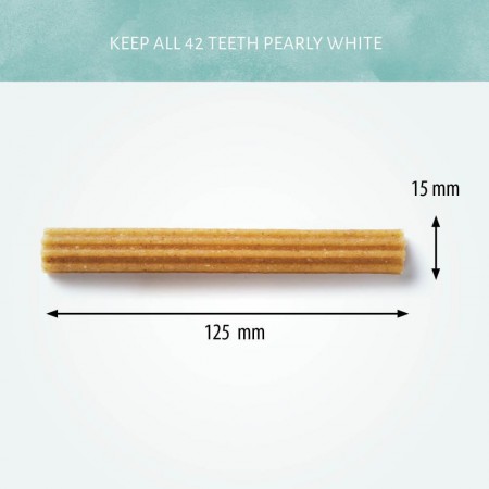 Cerea Eurostar Small 56 stuks