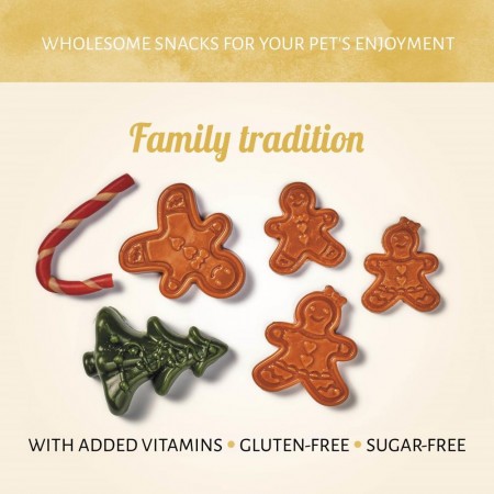 Gingerbread House