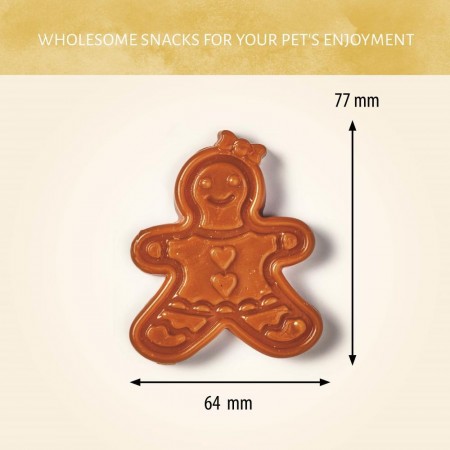 Gingerbread House