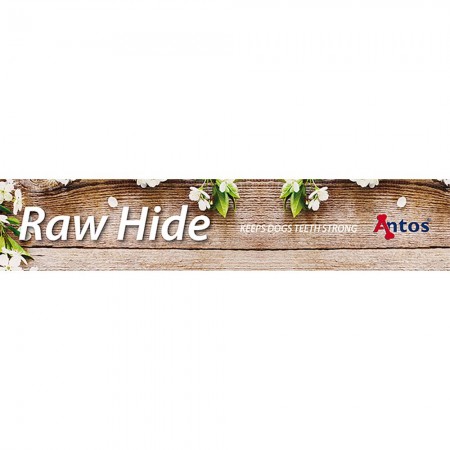 Signing 590 - Raw Hide
