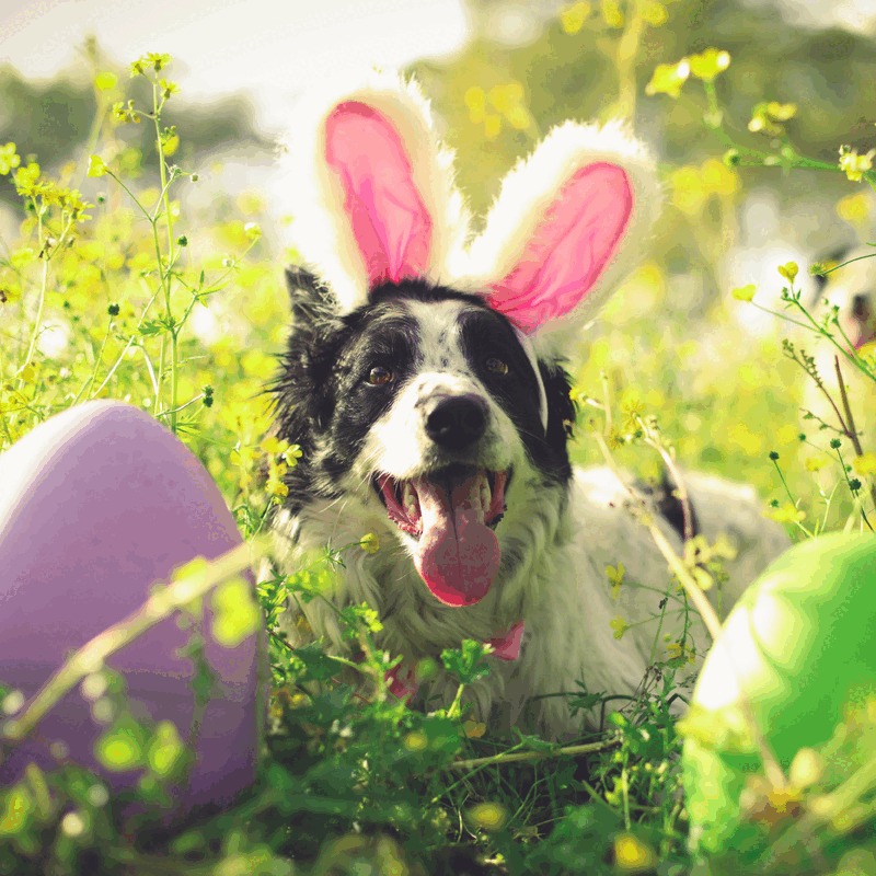 Geschenken die zorgen voor vreugde