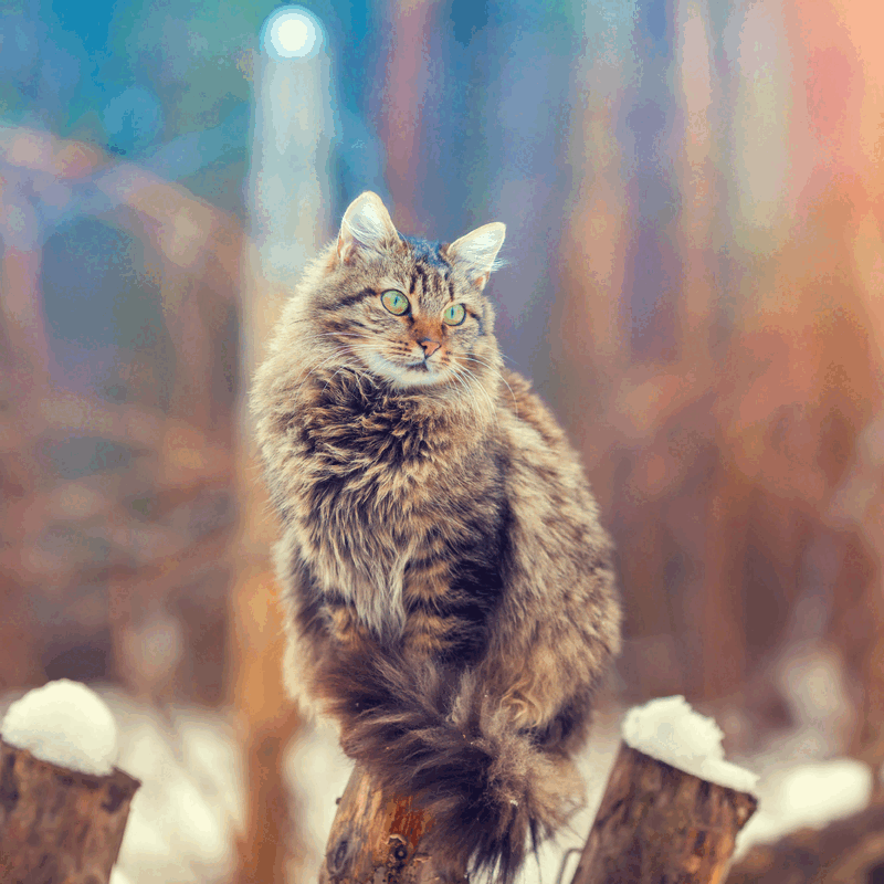 Bring on the fun
Gevuld met lekkers