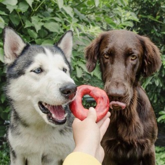 We love making new friends