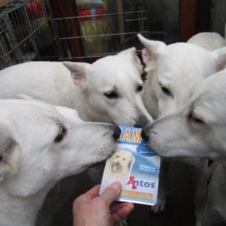 We love making new friends